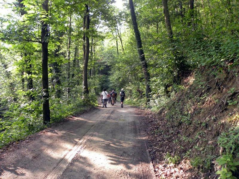 Emeroteca Del '900 Casalborgone Kültér fotó